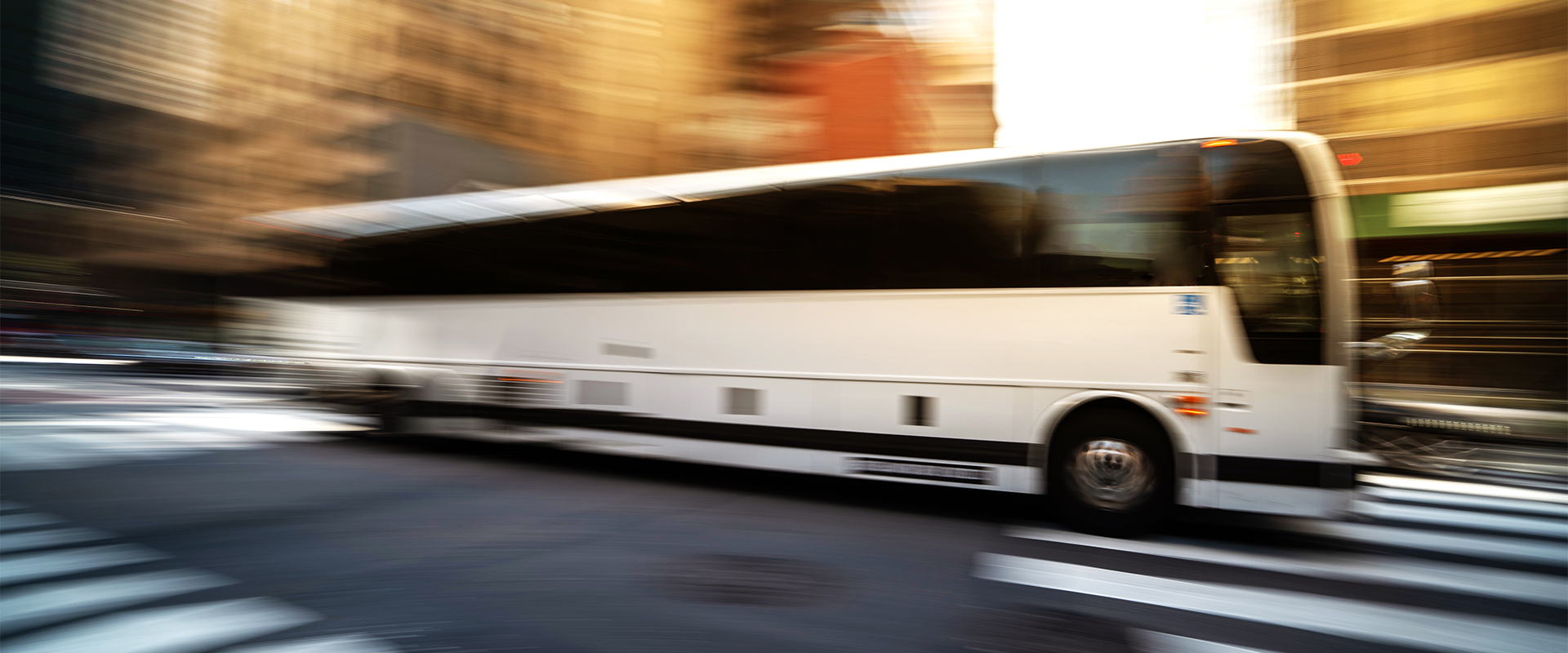 Toronto Charter Buses